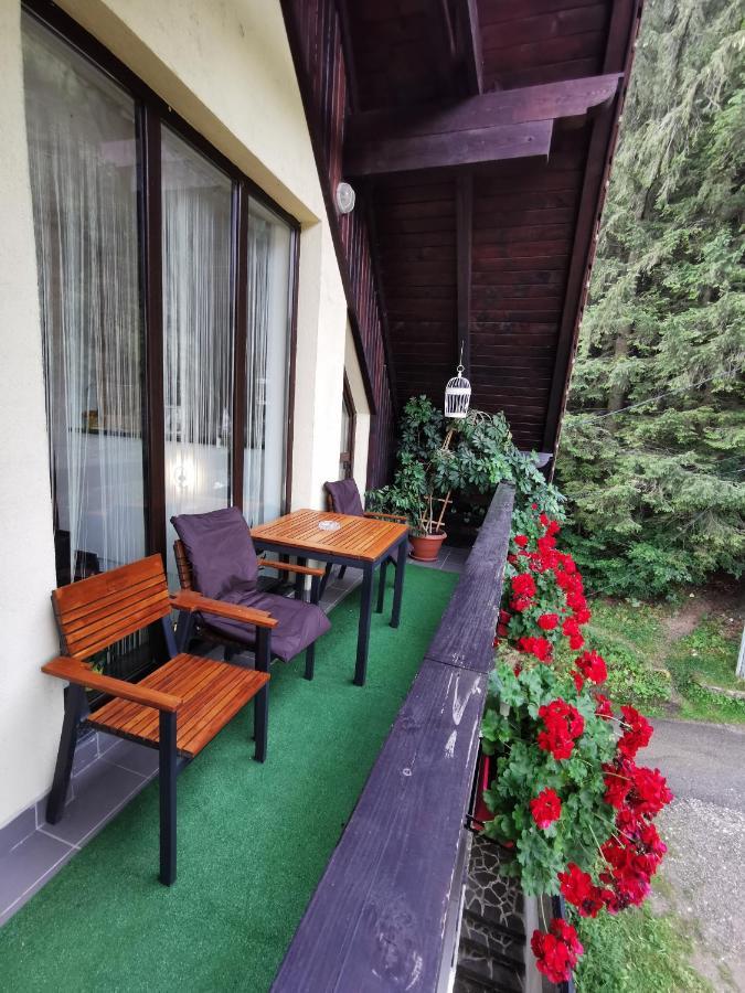 Apartament Kalinderu K1 Bușteni Exterior foto