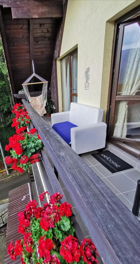 Apartament Kalinderu K1 Bușteni Exterior foto
